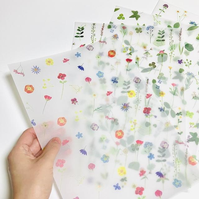 ★限定★草木花 (ソウモッカ) トレペ アソートパック