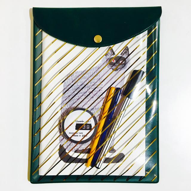 ★30%OFF★ 限定PVCフラットケース A5 ストライプグリーン