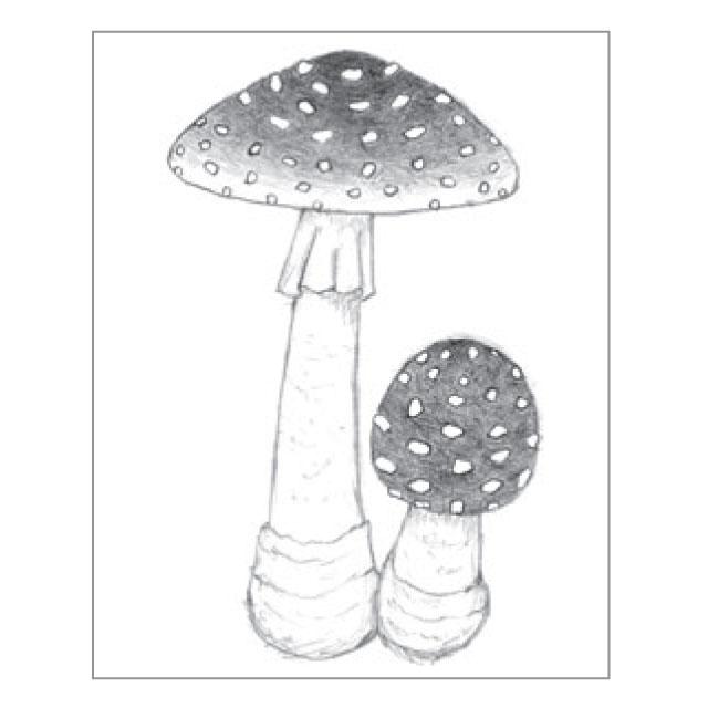 森のキノコスタンプ#2 (大) ベニテングタケ