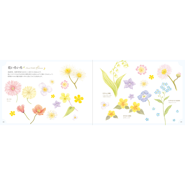 色えんぴつで描こう 小さな花とかわいい模様 モノづくりを楽しむサイト Cotora Monora コトラモノラ