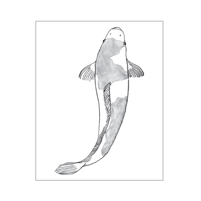 生物図鑑はんこ 鯉 モノづくりを楽しむサイト Cotora Monora コトラモノラ