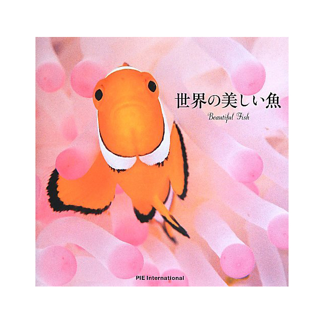 世界の美しい魚｜モノづくりを楽しむサイト cotora monora (コトラモノラ)