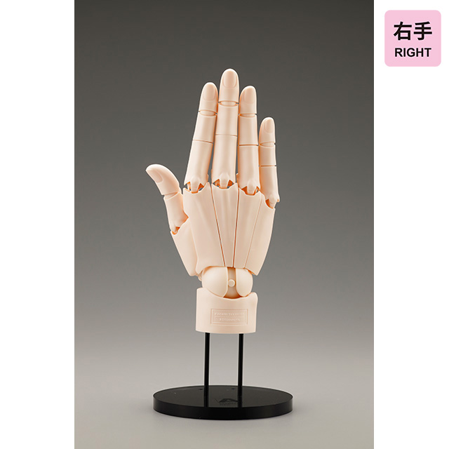 コトブキヤARTIST SUPPORT ITEMハンドモデル/L -GRAY-(左)｜画材・文具雑貨の通販  Toolswebshop/cotoramonora