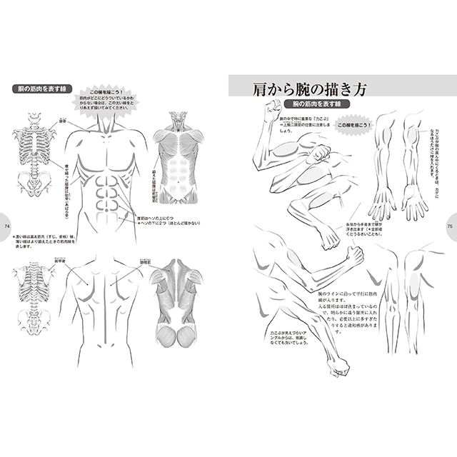 メンズ萌えキャラクターの描き方 顔 からだ編 画材 文具雑貨の通販 Toolswebshop Cotoramonora