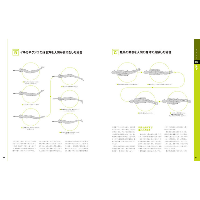 アニメ作画のしくみ2 動物編 画材 文具雑貨の通販 Toolswebshop Cotoramonora