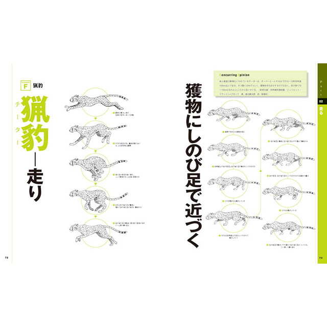アニメ作画のしくみ2 動物編 画材 文具雑貨の通販 Toolswebshop Cotoramonora