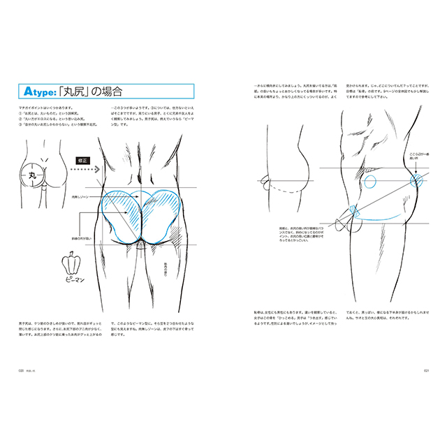 男のお尻の描き方 画材 文具雑貨の通販 Toolswebshop Cotoramonora