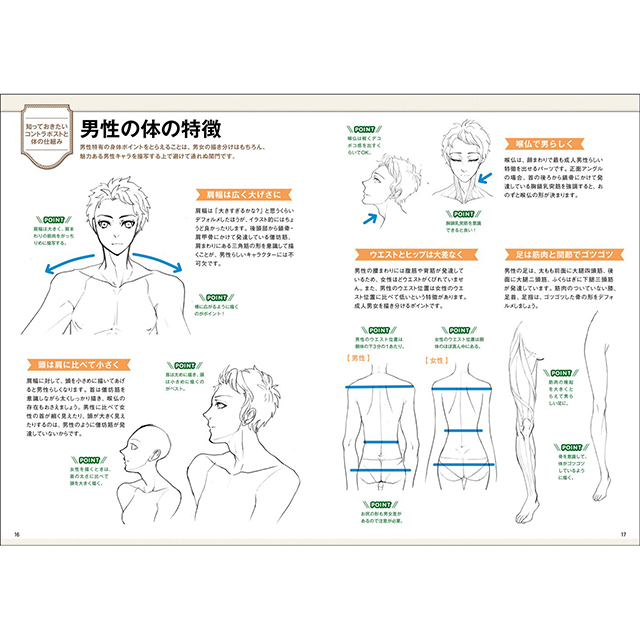 動きのあるポーズの描き方 男性キャラクター編 画材 文具雑貨の通販 Toolswebshop Cotoramonora