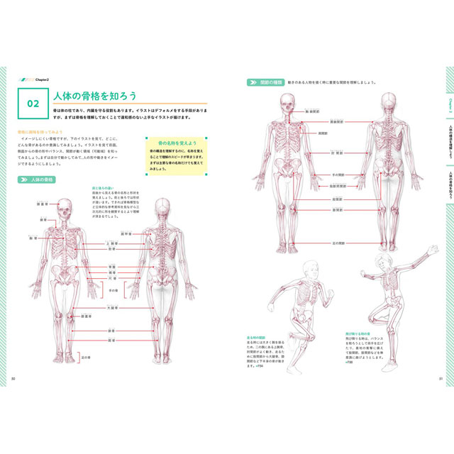 キャラクターデッサン画力アップ講座 画材 文具雑貨の通販 Toolswebshop Cotoramonora