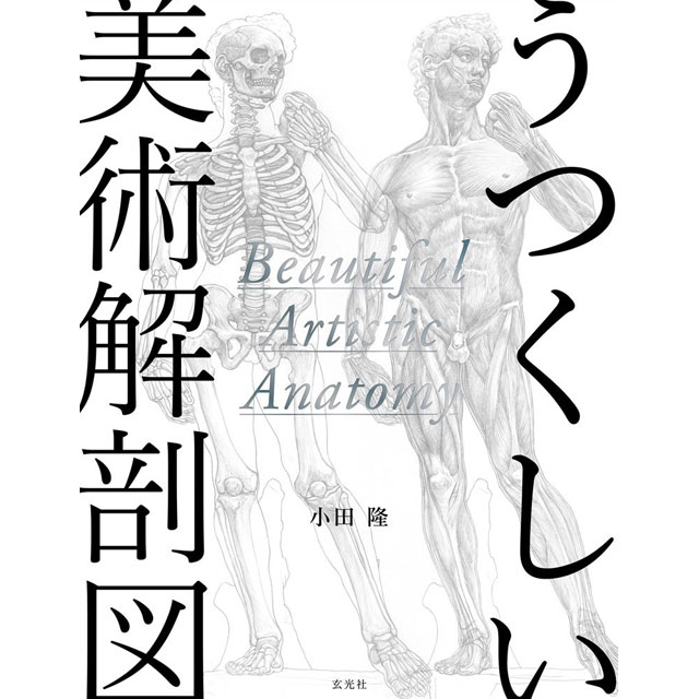 うつくしい美術解剖図 画材 文具雑貨の通販 Toolswebshop Cotoramonora