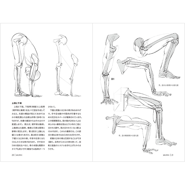 関節と筋肉の働き モルフォ人体デッサン ミニシリーズ 画材 文具雑貨の通販 Toolswebshop Cotoramonora 関節と筋肉の働き モルフォ人体デッサン ミニシリーズ 画材 文具雑貨の通販 Toolswebshop Cotoramonora