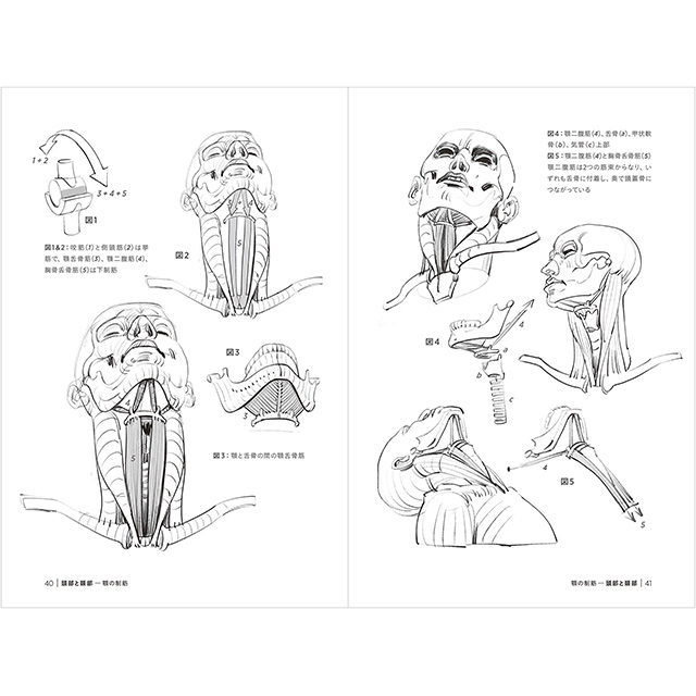 モルフォ 人体 デッサン イラスト初心者が一年間独学で絵の練習をした 上達の経過を晒す つめつめも Stg Origin Aegpresents Com モルフォ 人体 デッサン イラスト初心者が一年間独学で絵の練習をした 上達の経過を晒す つめつめも Stg Origin Aegpresents Com