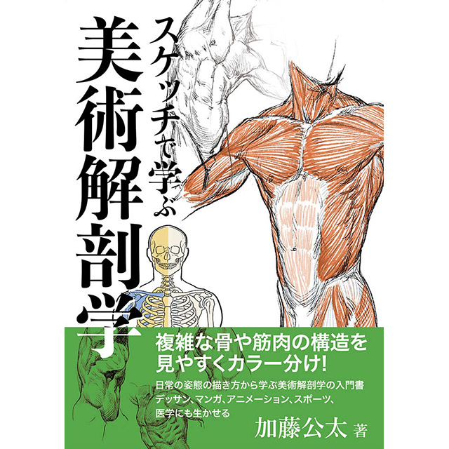 イラストで学ぶ美術解剖学 カバーなし - メルカリ